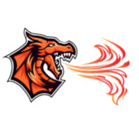 Fire Stone Metal Pvt. Ltd. Logo