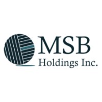 MSB Holdings Logo