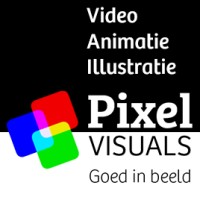 Pixel Visuals Logo