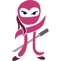 Numpy Ninja Logo