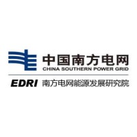南方电网能源发展研究院有限责任公司 Logo