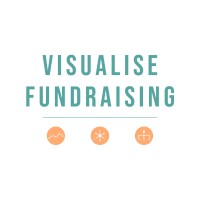 Visualise Fundraising Logo