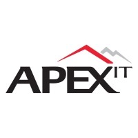 NGI Apex IT India Pvt Ltd Logo