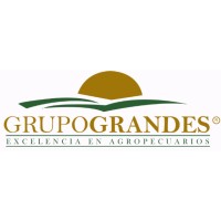 GRUPO GRANDES ROMAN S.A. Logo
