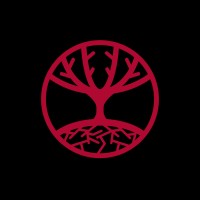 YGG Consultoria Esportiva Logo