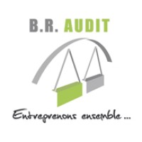 BR Audit Logo