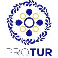 Protur Consulting Logo