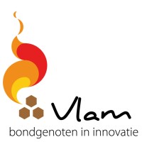 Vlam bondgenoten in innovatie Logo
