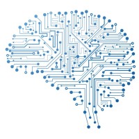 Neuroscience Informatics Logo