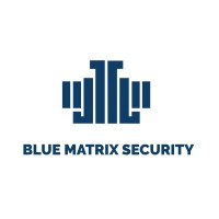Blue Matrix Security Logo