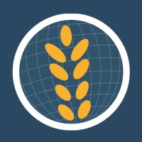 Graindex Logo