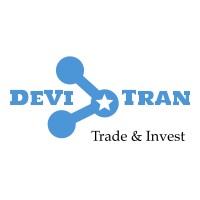 DeVi Tran GmbH Logo