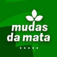 Mudas da Mata Logo