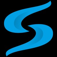 Skyview Experts Logo