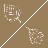 Birch And Oak, LLC Logo
