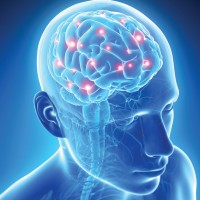 NeuroBrainManagement by Sevil Cinar Logo