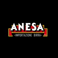 Anesa Srl Logo