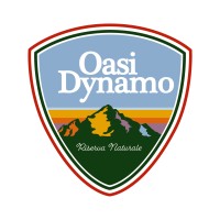 Oasi Dynamo Logo