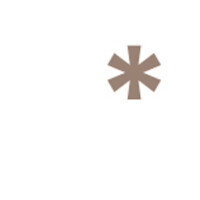 Einhorn + Rakete AG Logo