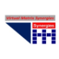 Virtual Matrix Synergies Logo