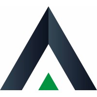 Delcies BV Logo