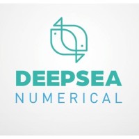 DeepSea Numerical Logo