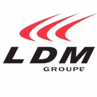 LDM Groupe Logo