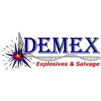 DEMEX International Inc Logo