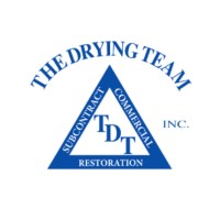 TDT - The Drying Team Logo