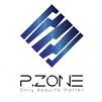 P.Zone International Logo