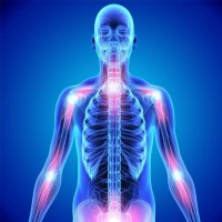 PainStop Spine Clinic and Drug Addiction Service Logo