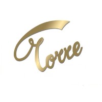 Torre srl Logo