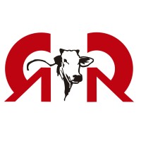 FABRICA DE TRONCOS ROMANCINI Logo