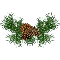 Georgia Pines CSB Logo