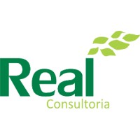 Real Consultoria e Soluções Logo