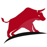 The Market Bull - Daily Stock News Logo