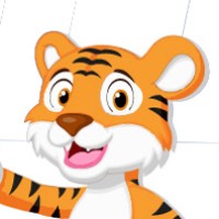 Tiger Clean Logo