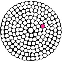 Skin2Neuron Logo
