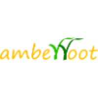 Amberroot Systems Private Limited Logo