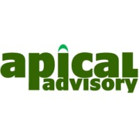Apical Advisory Logo