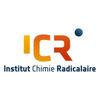 Institute of Radical Chemistry ICR Logo
