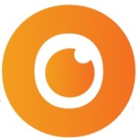 Visionify.ai Logo