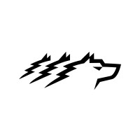 Wolf Group Latvia Logo