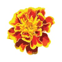 Marigold Londongate Logo