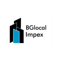 BGlocal Impex Pvt. Ltd. Logo