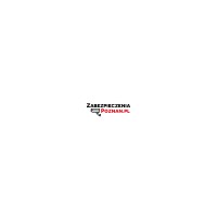 Zabezpieczenia Poznań Logo