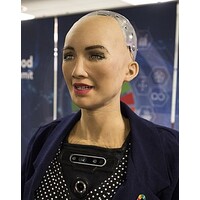 Services et conseil informatiques par Mr Zaher Nourredine Logo