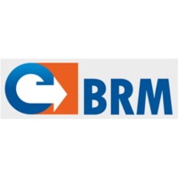 BRM BUNDESVERBAND REGENERATIVE MOBILITÄT Logo