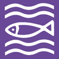 Evangelische Schulstiftung in der EKBO Logo