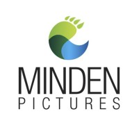 Minden Pictures Logo